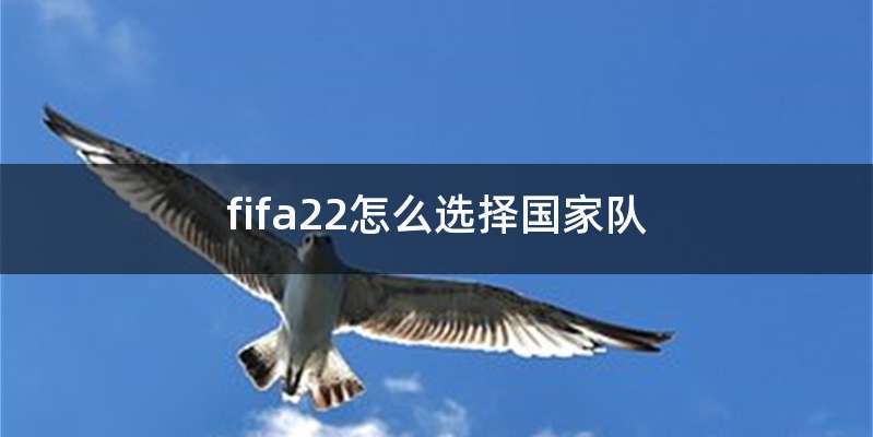 fifa22怎么选择国家队