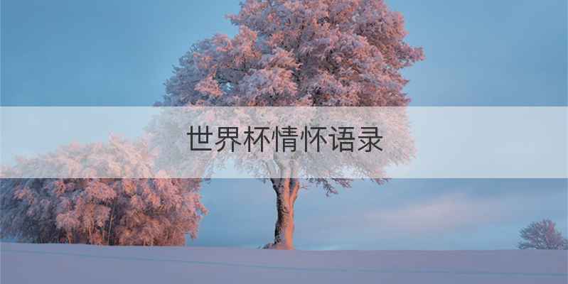 世界杯情怀语录