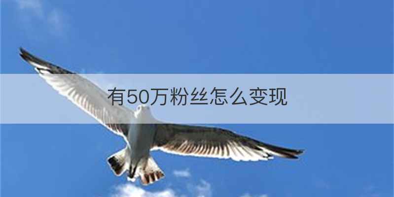 有50万粉丝怎么变现