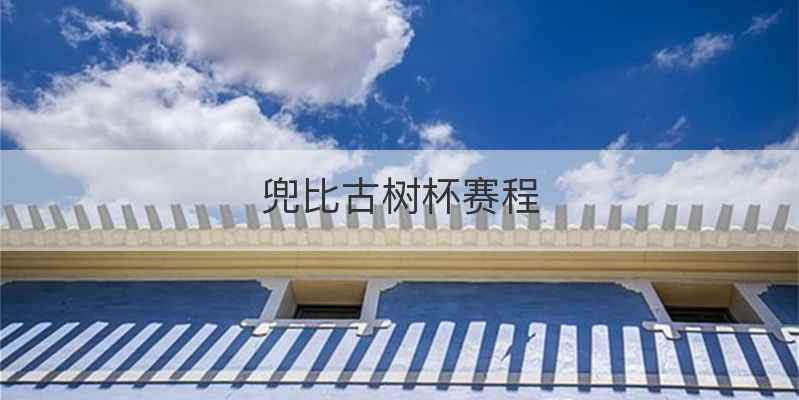 兜比古树杯赛程
