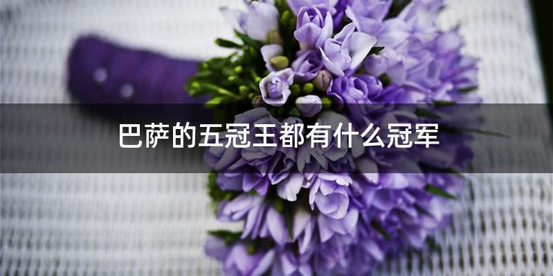 巴萨的五冠王都有什么冠军