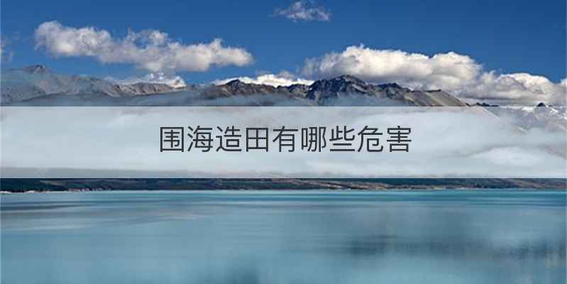 围海造田有哪些危害