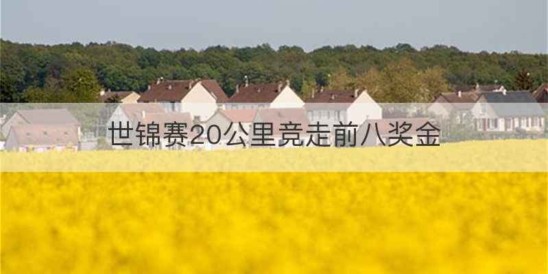 世锦赛20公里竞走前八奖金