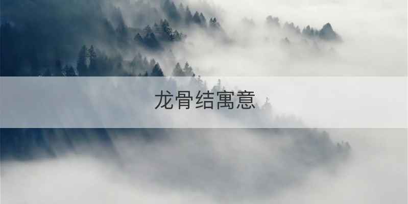龙骨结寓意