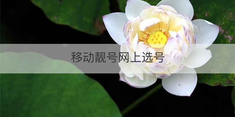移动靓号网上选号