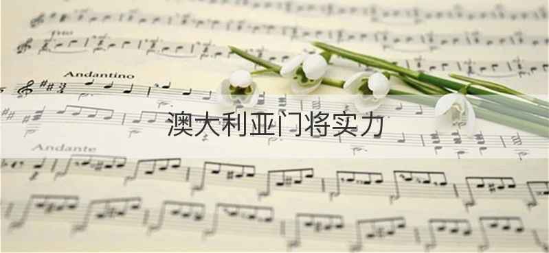 澳大利亚门将实力