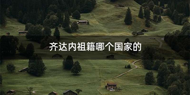 齐达内祖籍哪个国家的