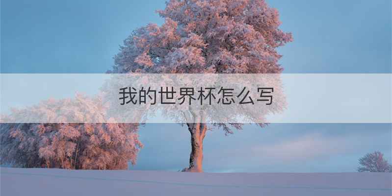 我的世界杯怎么写