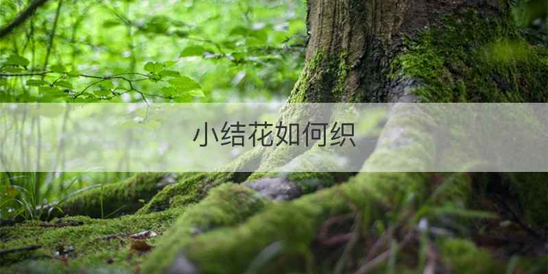 小结花如何织