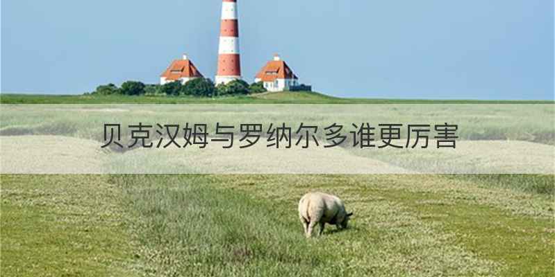 贝克汉姆与罗纳尔多谁更厉害