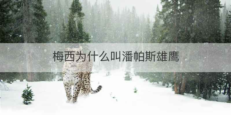 梅西为什么叫潘帕斯雄鹰