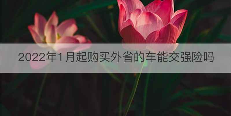 2022年1月起购买外省的车能交强险吗