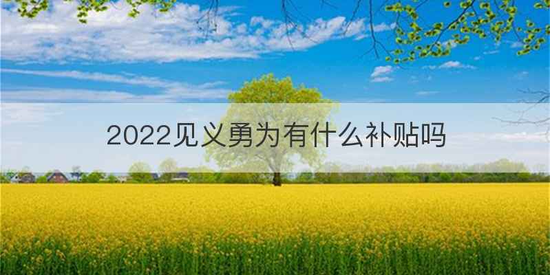 2022见义勇为有什么补贴吗