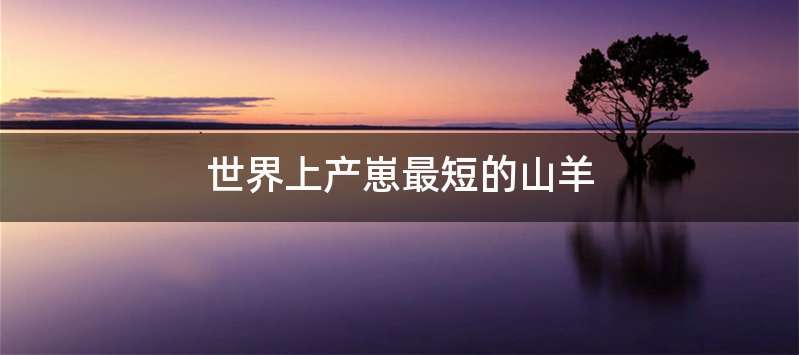 世界上产崽最短的山羊