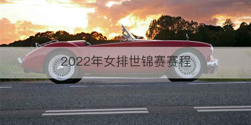 2022年女排世锦赛赛程