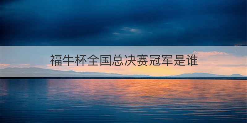 福牛杯全国总决赛冠军是谁