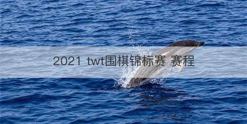 2021 twt围棋锦标赛 赛程