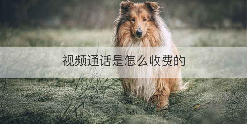 视频通话是怎么收费的