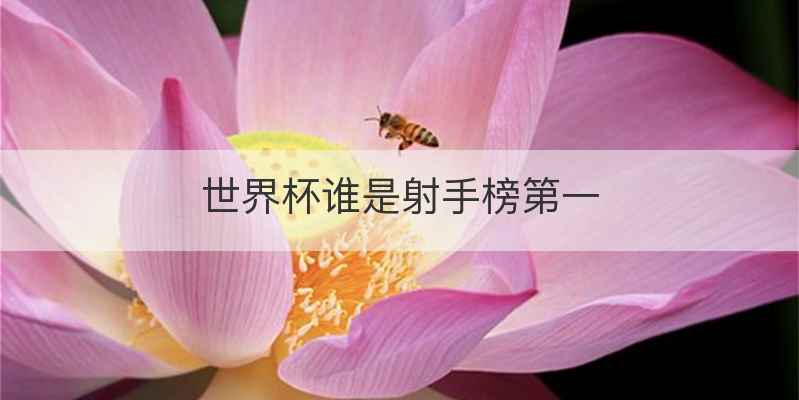 世界杯谁是射手榜第一