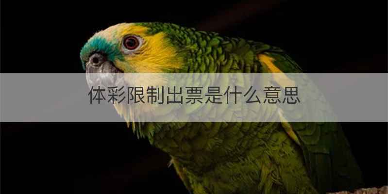 体彩限制出票是什么意思