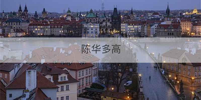 陈华多高