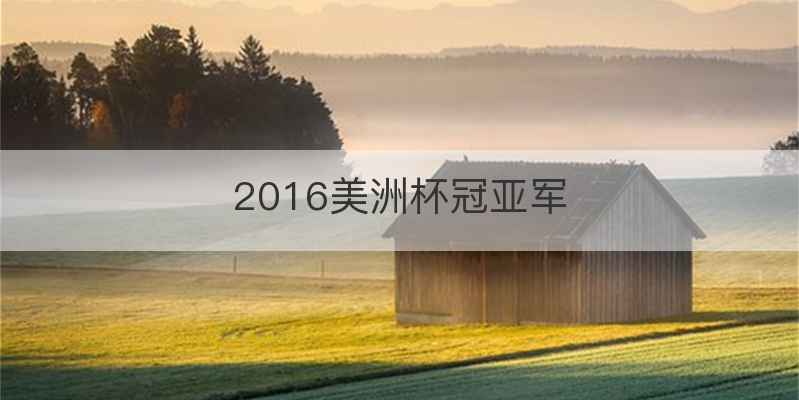 2016美洲杯冠亚军