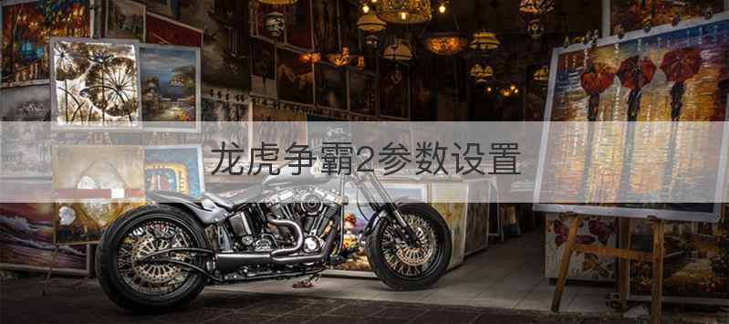 龙虎争霸2参数设置