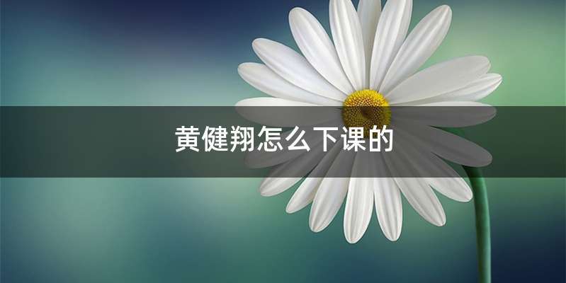 黄健翔怎么下课的