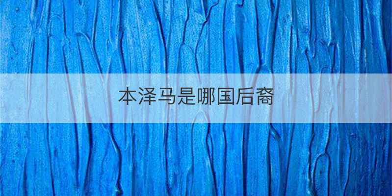 本泽马是哪国后裔