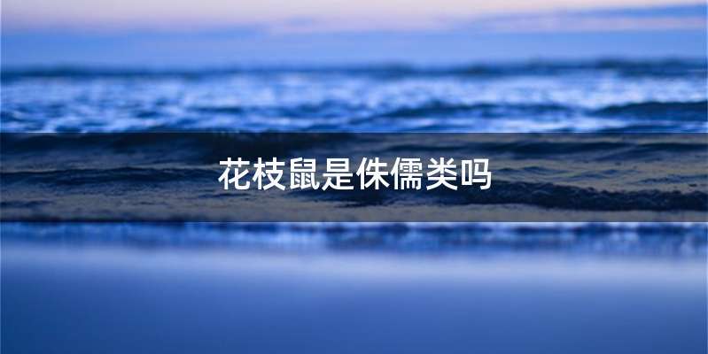 花枝鼠是侏儒类吗