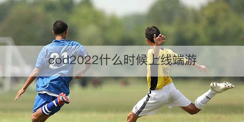 cod2022什么时候上线端游