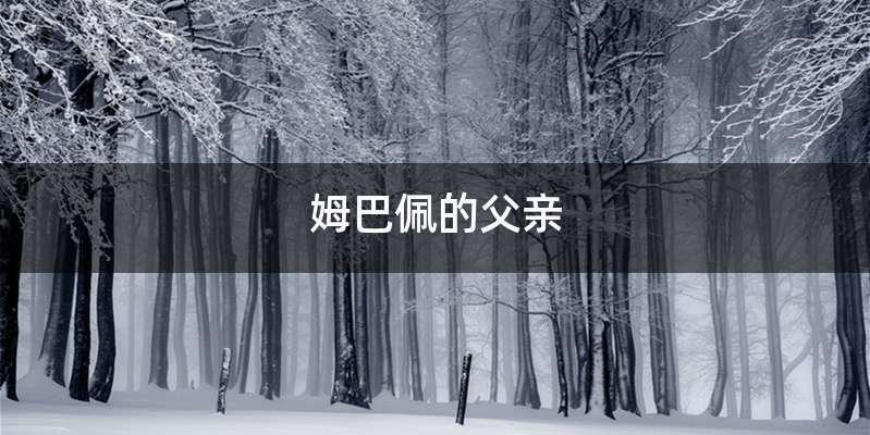 姆巴佩的父亲