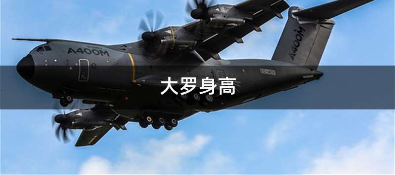 大罗身高