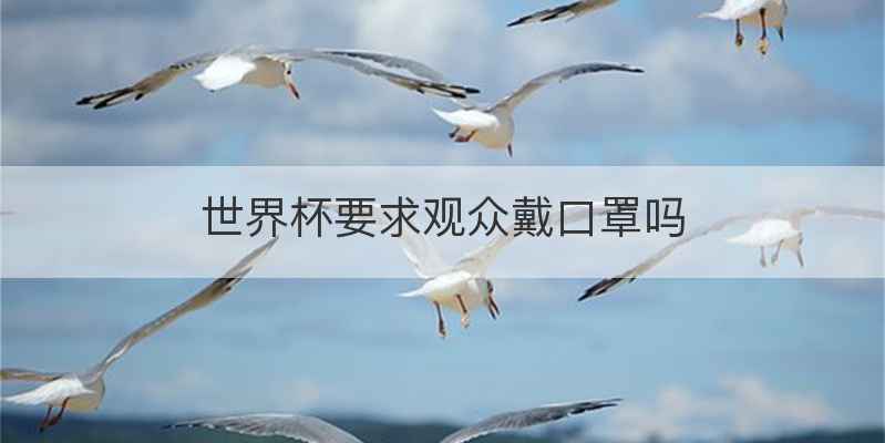 世界杯要求观众戴口罩吗