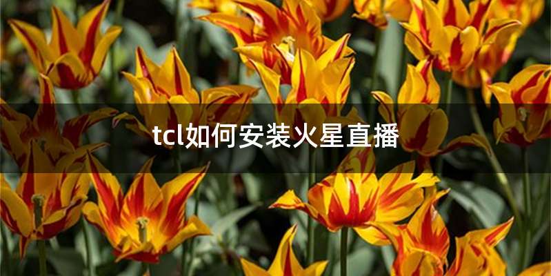 tcl如何安装火星直播
