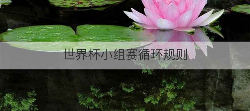 世界杯小组赛循环规则