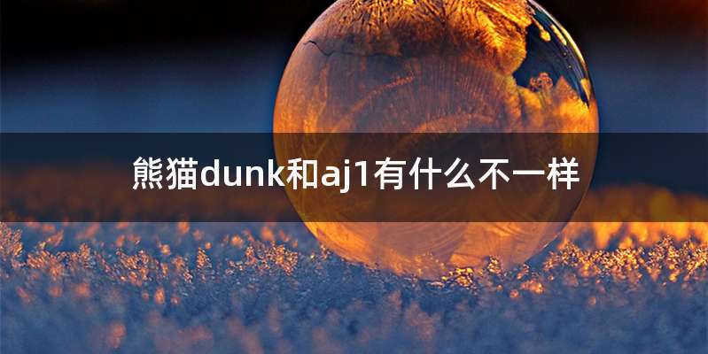 熊猫dunk和aj1有什么不一样
