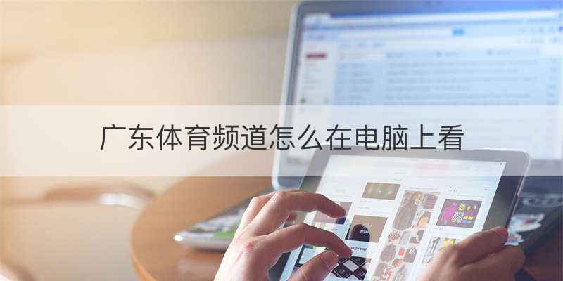 广东体育频道怎么在电脑上看