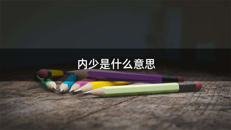 内少是什么意思