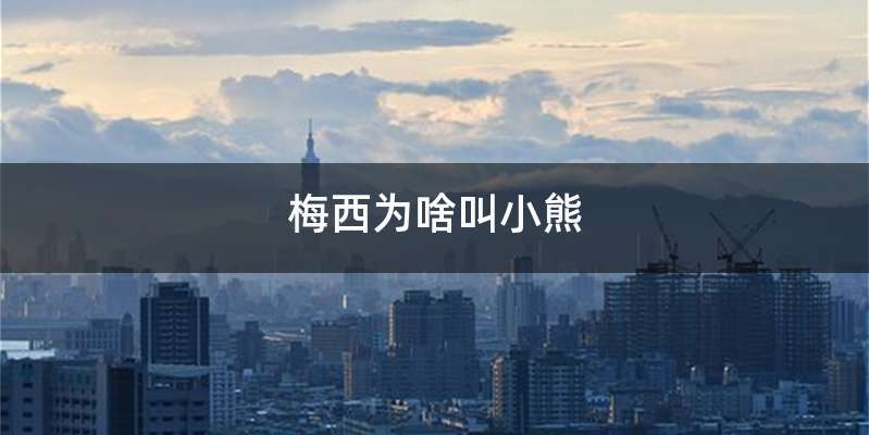 梅西为啥叫小熊