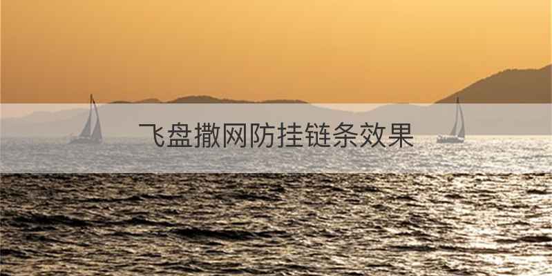 飞盘撒网防挂链条效果