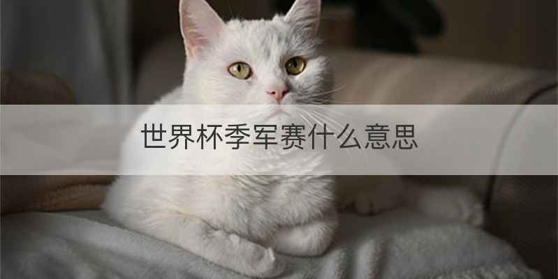 世界杯季军赛什么意思