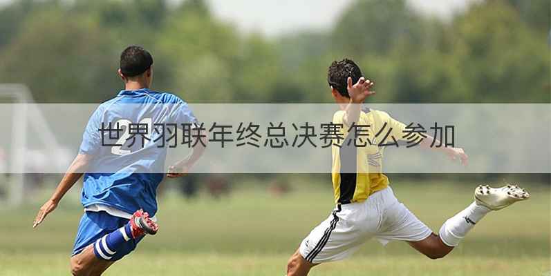 世界羽联年终总决赛怎么参加
