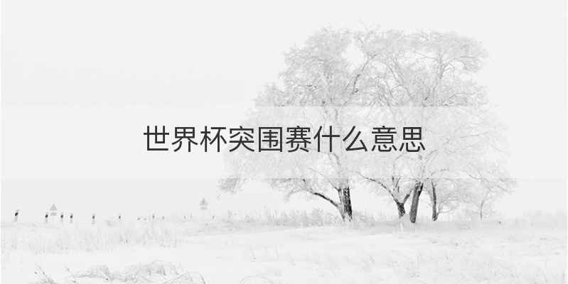 世界杯突围赛什么意思