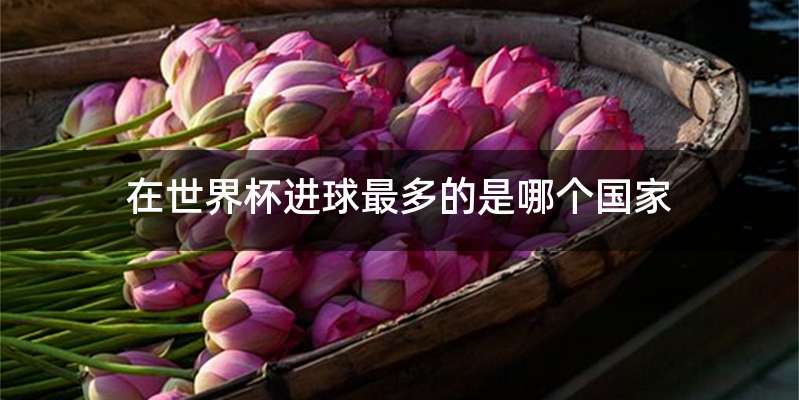 在世界杯进球最多的是哪个国家