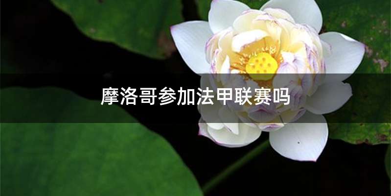 摩洛哥参加法甲联赛吗