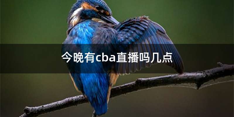 今晚有cba直播吗几点