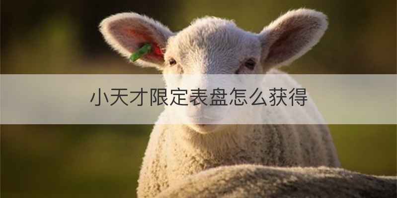 小天才限定表盘怎么获得