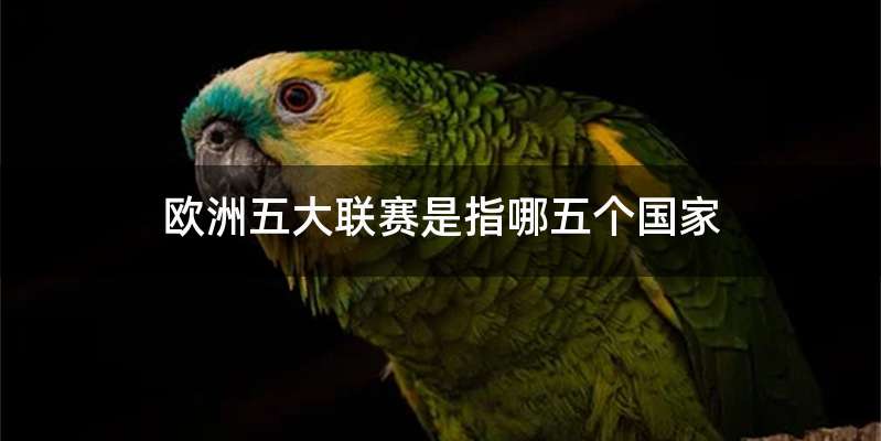 欧洲五大联赛是指哪五个国家