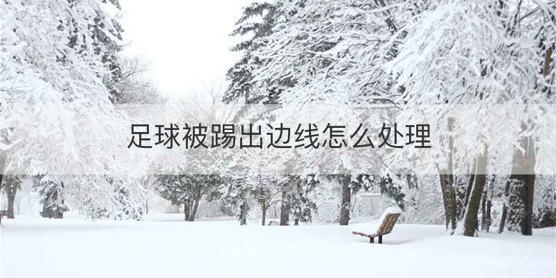足球被踢出边线怎么处理